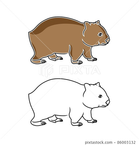 Wombat surrounded by plants isolated on white background Wombat surrounded by plants isolated on white background 86003132
