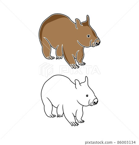 Wombat surrounded by plants isolated on white background Wombat surrounded by plants isolated on white background 86003134