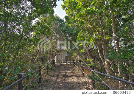 【半所山公園(半所花燈站)】和歌山縣西室區白濱町 【半所山公園(半所花燈站)】和歌山縣西室區白濱町 86003453