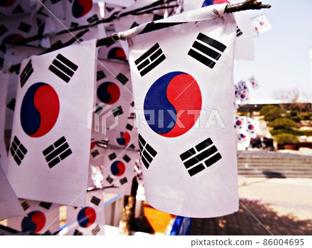 韓國太極 86004695