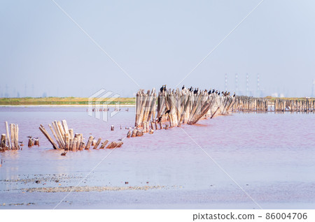 A beautiful salt lake with pink water. A beautiful salt lake with pink water. 86004706
