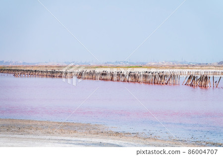 A beautiful salt lake with pink water. 86004707