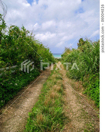 Okinawa: The road leading to the blue sea 86004816