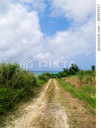 Okinawa: The road leading to the blue sea 86004817