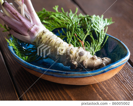 新鮮的書芥末。一種將生芥末磨碎並與生魚片一起食用的日本調味品。 新鮮的書芥末。一種將生芥末磨碎並與生魚片一起食用的日本調味品。 86005002