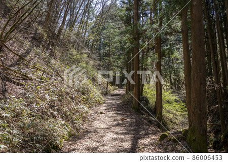 Nakasendo Kisoji 86006453