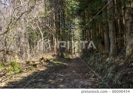 Nakasendo Kisoji 86006454