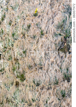 Hot spring hot spring 86007972