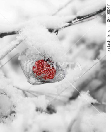 白雪覆蓋的酸漿patocolor *垂直矩形組成 白雪覆蓋的酸漿patocolor *垂直矩形組成 86008047