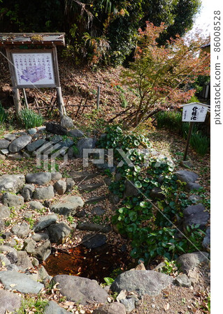 Komachi's makeup pond Komachi's makeup pond 86008528