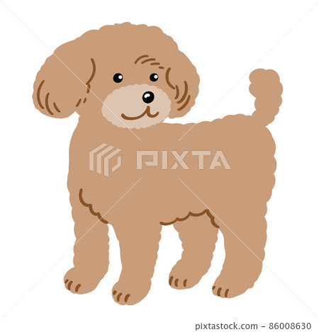 玩具獅子狗插圖 玩具獅子狗插圖 86008630