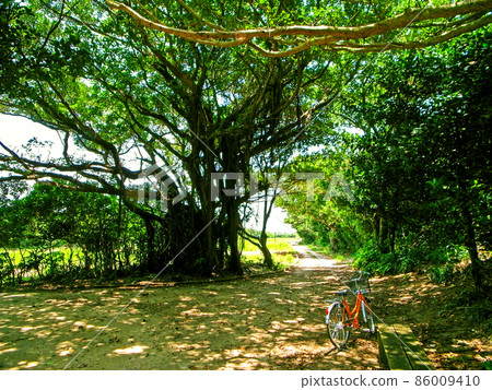 Okinawa God's Island Kudaka Island Scenery 86009410