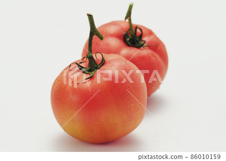 Tomato Tomato 86010159