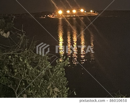 夜景海鼠起來 夜景海鼠起來 86010658