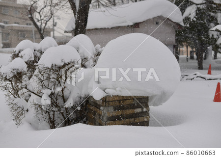 下雪的公園入口 下雪的公園入口 86010663
