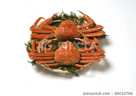 Snow crab Snow crab 86010766