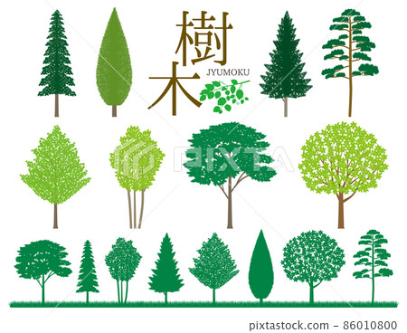 樹插圖集 86010800