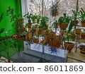 Interior of a green meeting room in a modern office 86011869