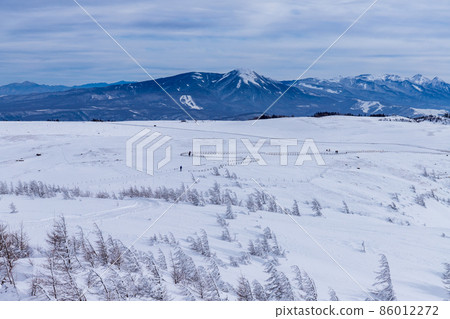 Midwinter Utsukushigahara Snow Hike 86012272