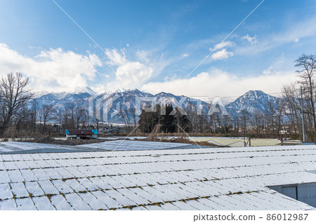冬天的芥末田和雪中的北阿爾卑斯山 冬天的芥末田和雪中的北阿爾卑斯山 86012987