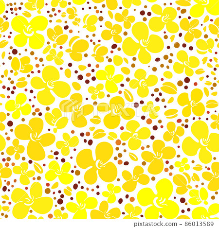 Mustard rape flower and seed pattern Vector canola 86013589