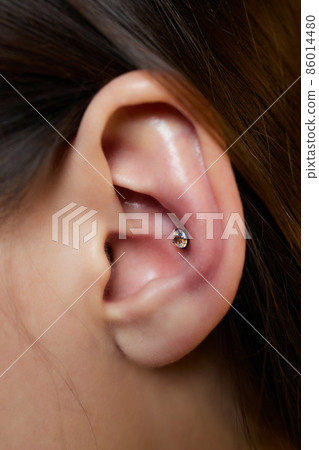 piercings on an ear. Conch and helix piercings close up. piercings on an ear. Conch and helix piercings close up. 86014480