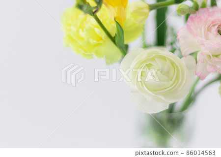 免費flowers_pastel colours-37 免費flowers_pastel colours-37 86014563