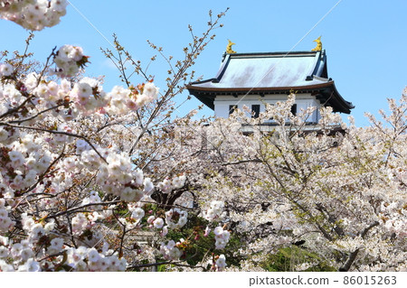 北海道松前春天松前城 86015263