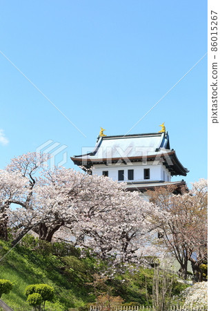北海道松前春天松前城 北海道松前春天松前城 86015267