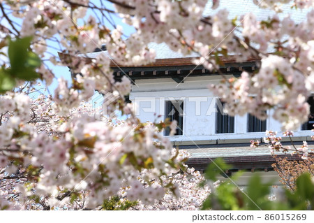 Hokkaido Matsumae Spring Matsumae Castle Hokkaido Matsumae Spring Matsumae Castle 86015269
