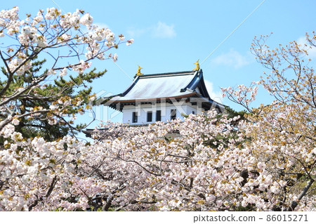 北海道松前春天松前城 86015271