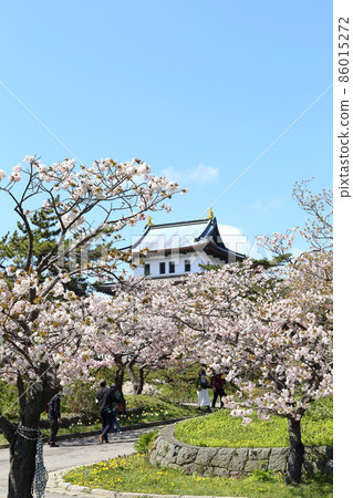Hokkaido Matsumae Spring Matsumae Castle Hokkaido Matsumae Spring Matsumae Castle 86015272