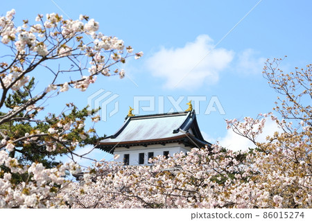 Hokkaido Matsumae Spring Matsumae Castle 86015274