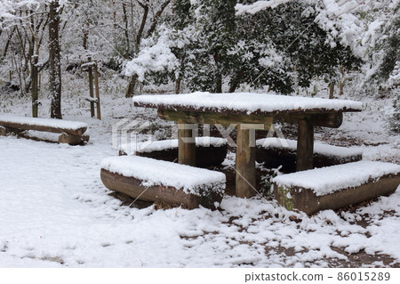 白雪皚皚的公園桌 86015289