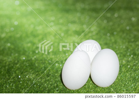 Duck egg, green background 86015597