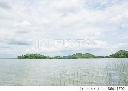 Beautiful sky tree view Beautiful sky tree view 86015702