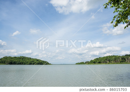 Beautiful sky tree view Beautiful sky tree view 86015703