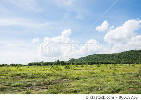 The path to the forest and the mountains on a beautiful day. The path to the forest and the mountains on a beautiful day. 86015710