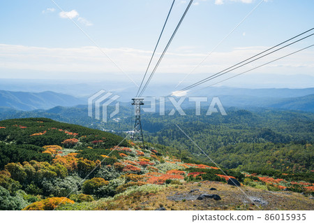 The place where you can see the autumn leaves earliest in Japan (Japan-Hokkaido-Asahidake) 86015935