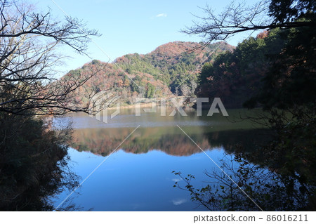 水面倒映著藍天薄雲的池塘景觀,冬天枯樹和植被頂端變紅的樹木山 水面倒映著藍天薄雲的池塘景觀,冬天枯樹和植被頂端變紅的樹木山 86016211