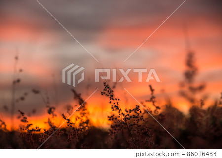 Evening Sky Silhouette Evening Sky Silhouette 86016433
