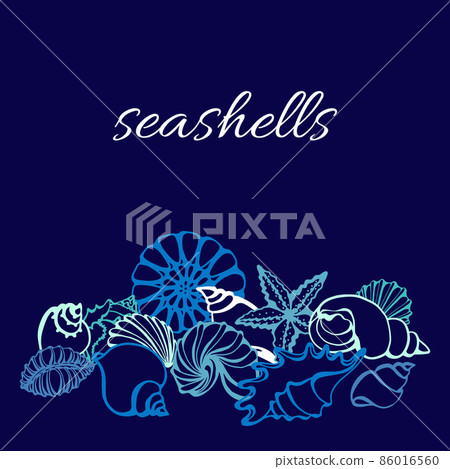 Template of art line of seashells on blue background. Vector 86016560