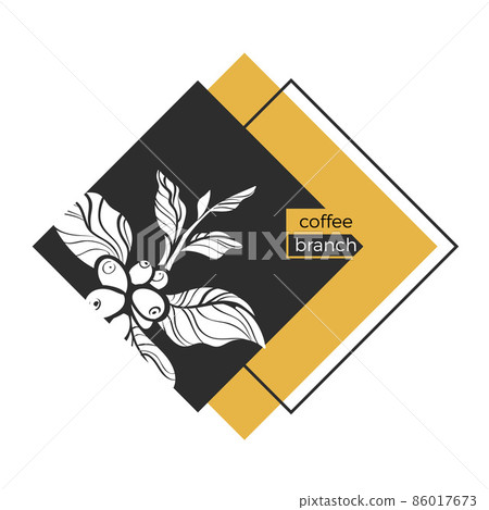 Template of white branch of coffee tree with... - Stock Illustration ...