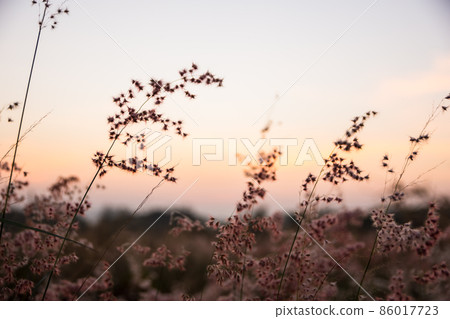 Sun rise in the morning Sun rise in the morning 86017723