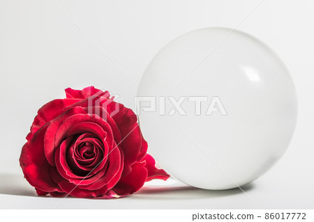 love Valentine's Day Background red roses with crystal ball. love Valentine's Day Background red roses with crystal ball. 86017772
