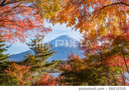 透過秋葉窺視的富士山 86018500