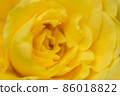 Background from flowers 86018822