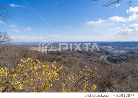 從兼木戶山頂看到的風景(日本五香粉開始開花) 從兼木戶山頂看到的風景(日本五香粉開始開花) 86018874