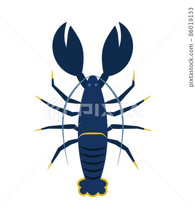 Lobster Flat Illustration 86019133