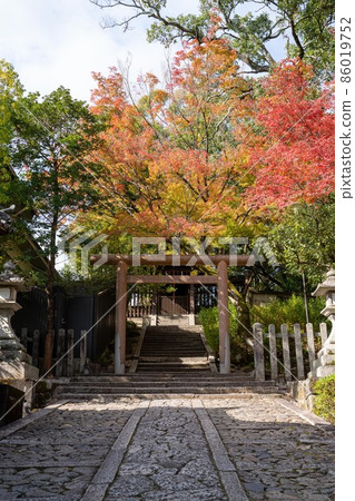 Imamiya Shrine Imamiya Shrine 86019752